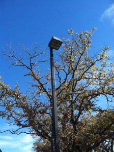 Pole Light KAD Lithonia